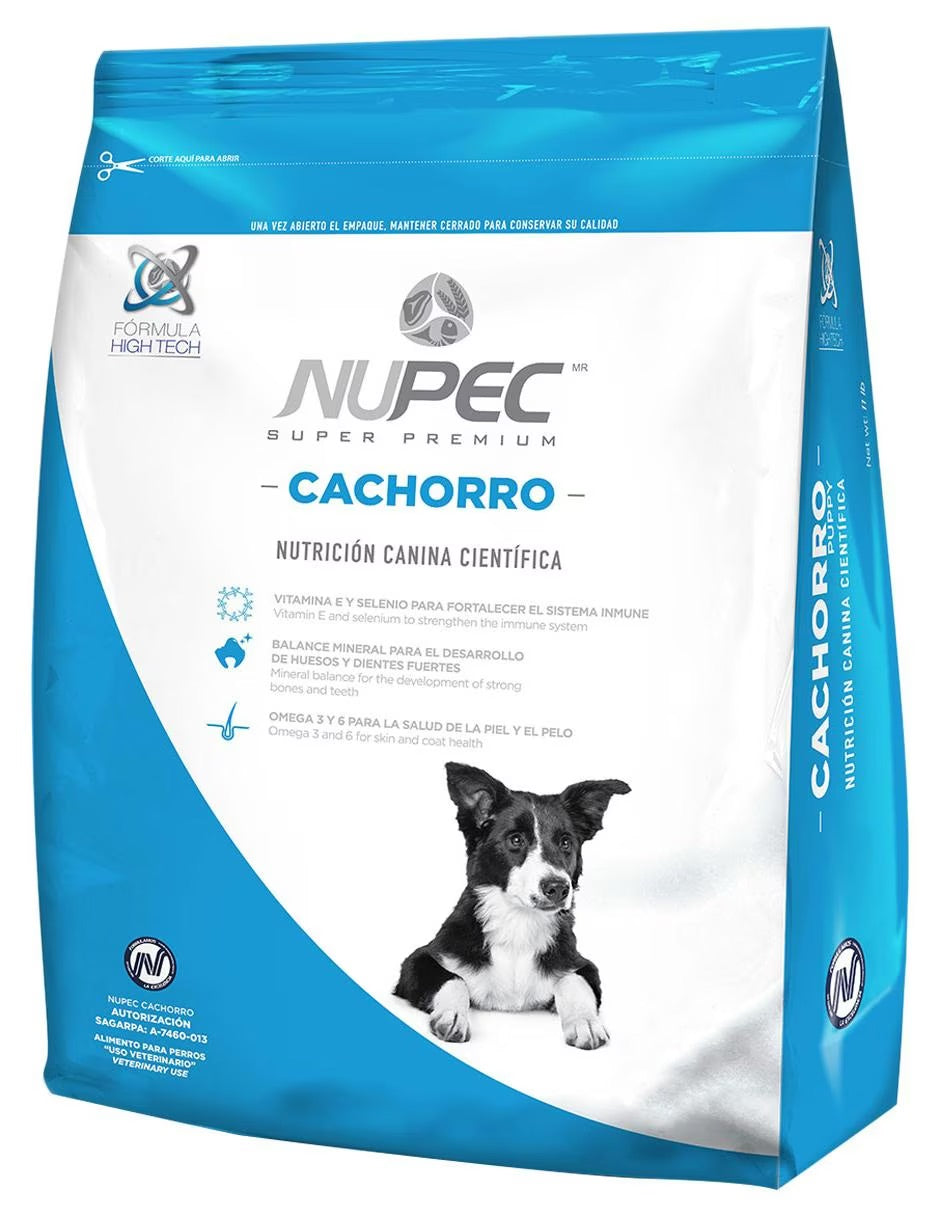 Canino - Nupec